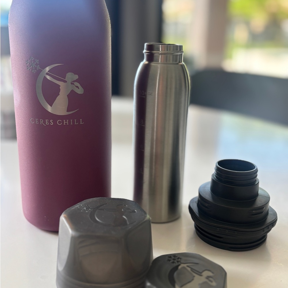 Purple and Silver Kids Bottle